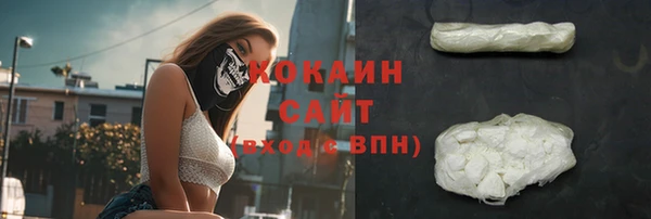 хмурый Болхов