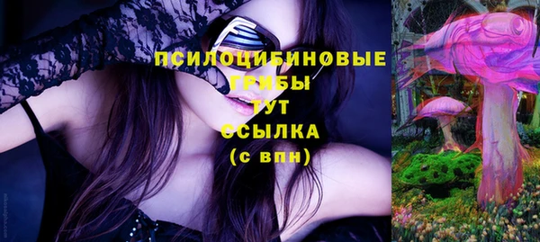 ГАЛЛЮЦИНОГЕННЫЕ ГРИБЫ Нея