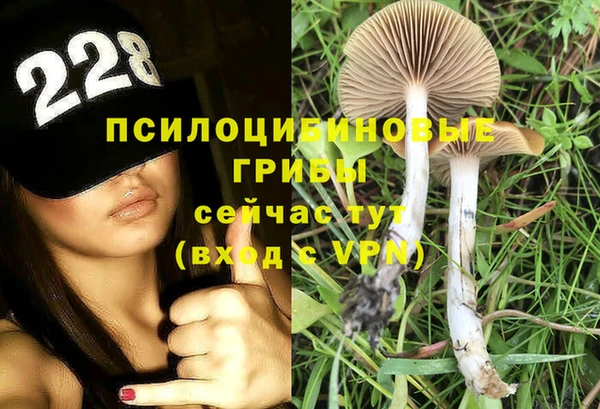 эйфоретик Нефтегорск