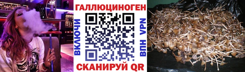 где можно купить Ленск Псилоцибиновые грибы мухоморы